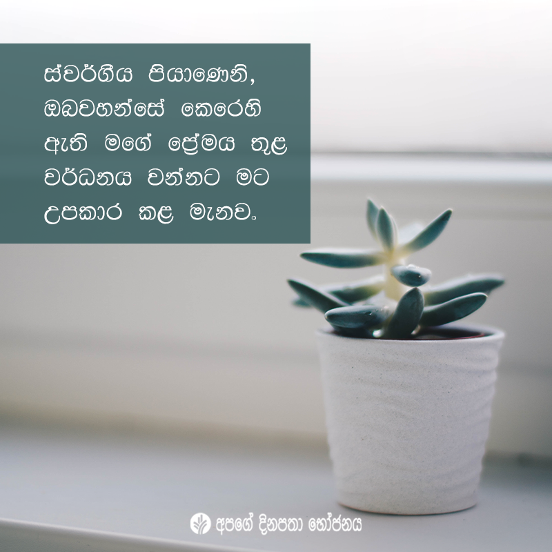 Share ODB 2020-11-13