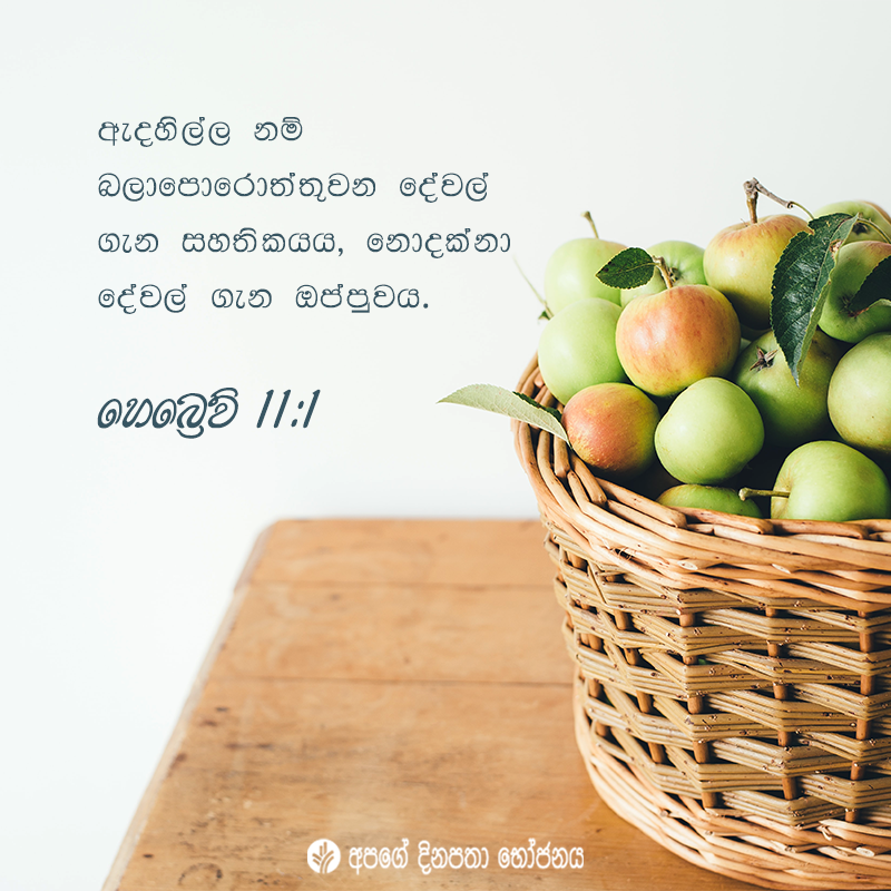 Share ODB 2020-11-15