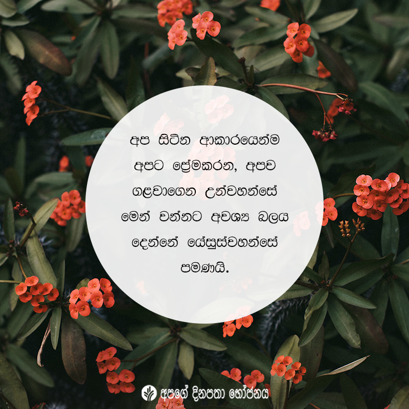 Share ODB 2020-11-18