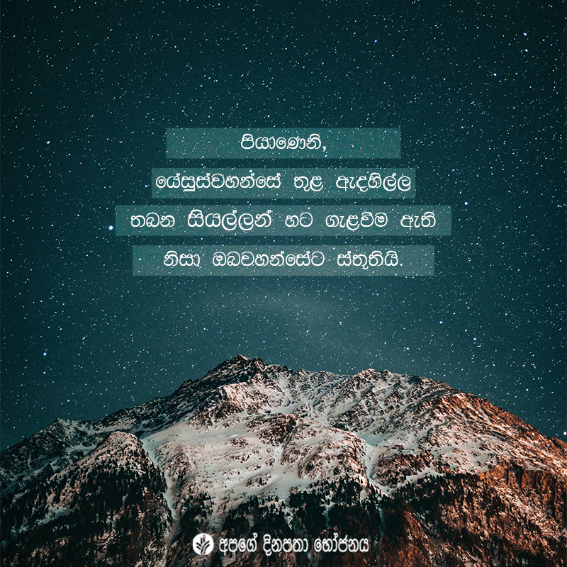 Share ODB 2020-11-23