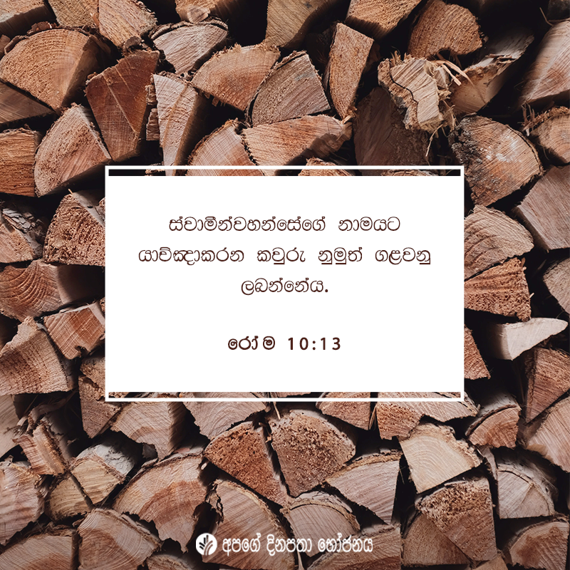 Share ODB 2020-11-25