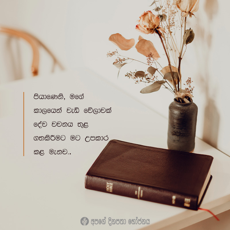 Share ODB 2021-02-04