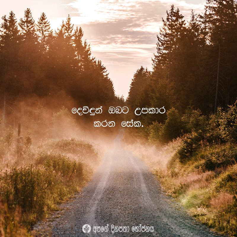 Share ODB 2021-02-05