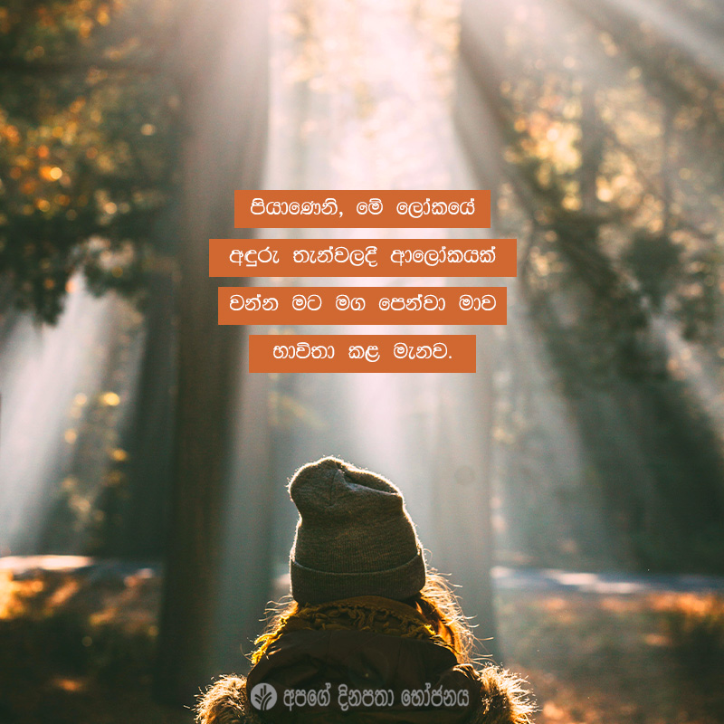 Share ODB 2021-02-06