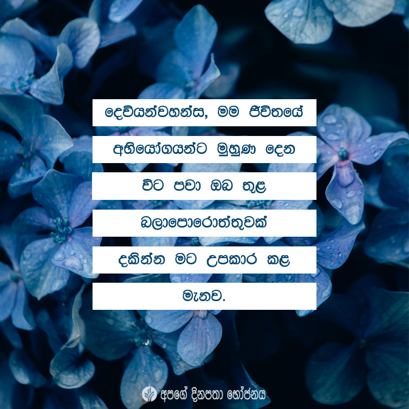 Share ODB 2021-02-07