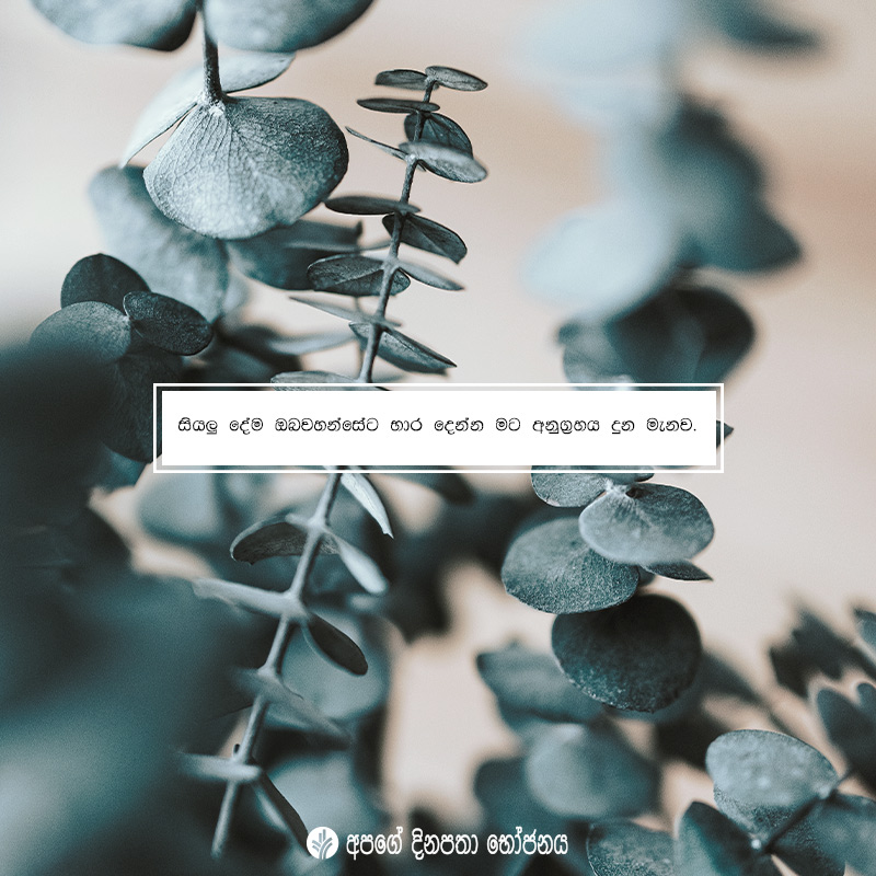 Share ODB 2020-07-16