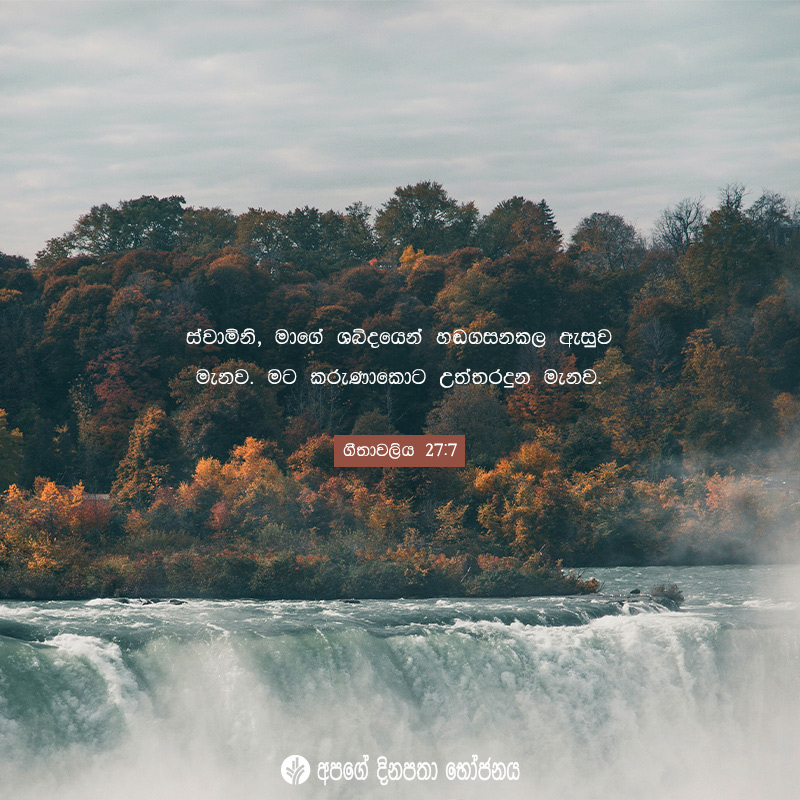 Share ODB 2020-07-20