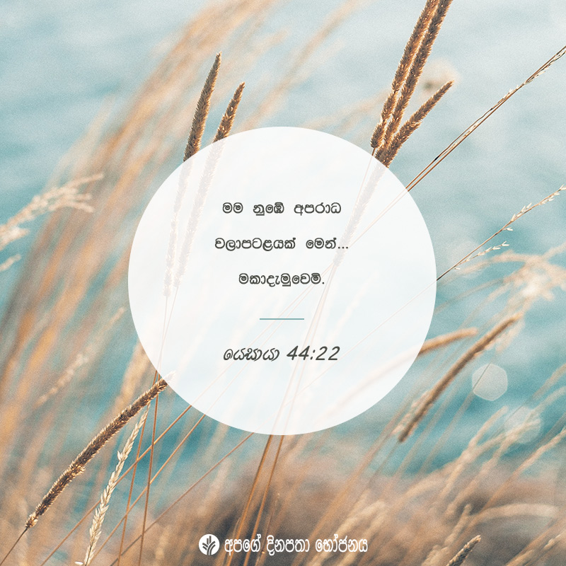 Share ODB 2020-07-22