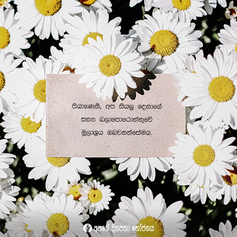 Share ODB 2020-07-23