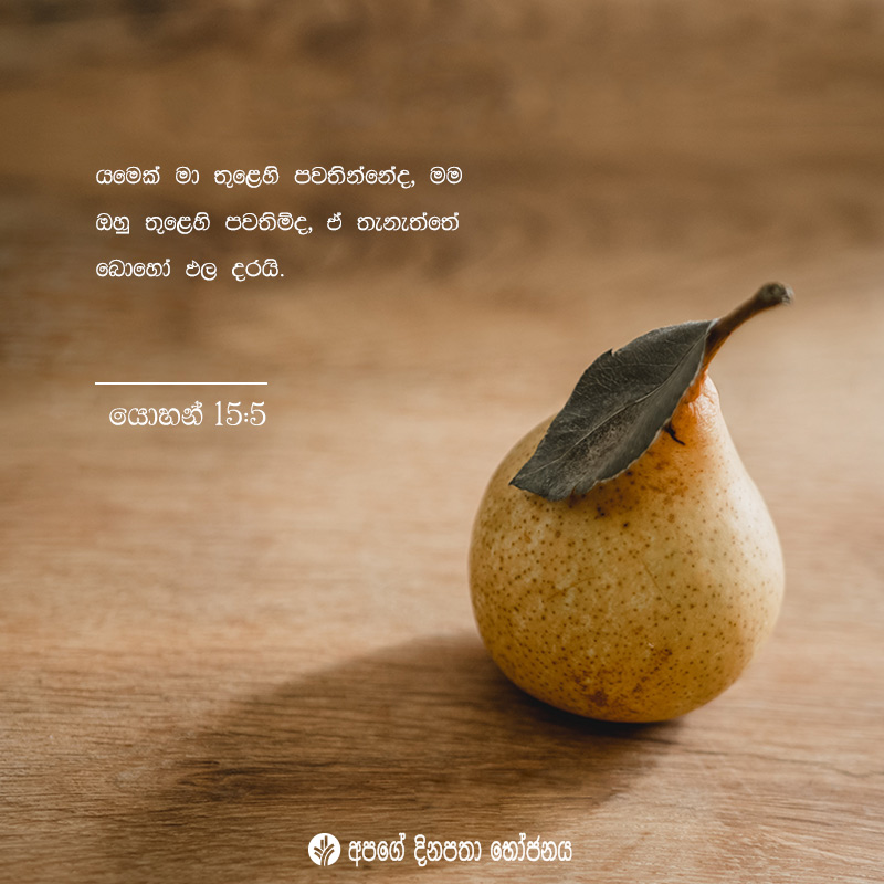 Share ODB 2020-08-01