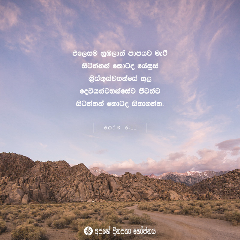 Share ODB 2020-08-03