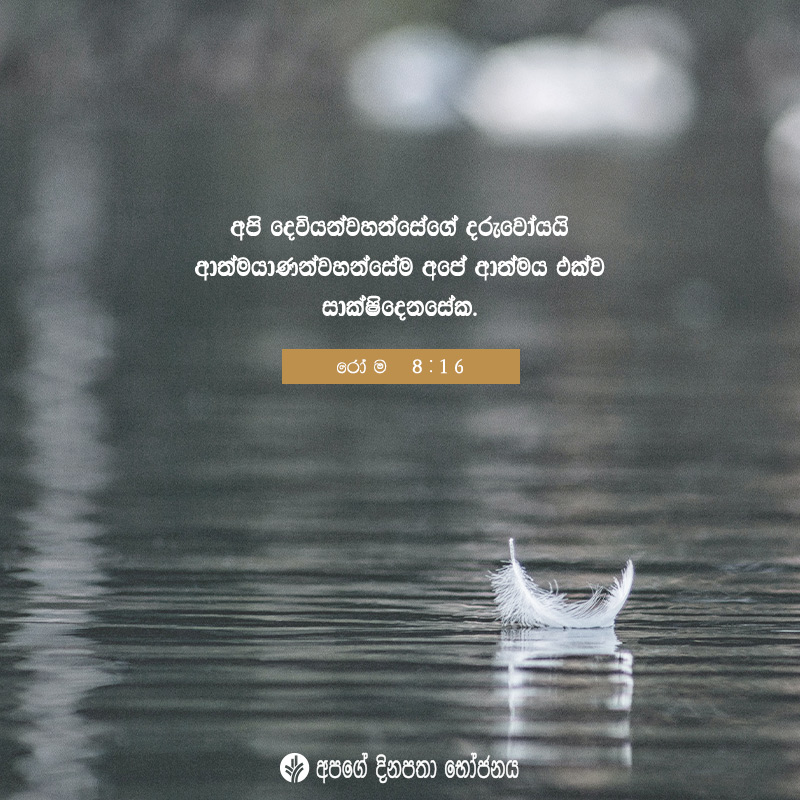 Share ODB 2020-08-05