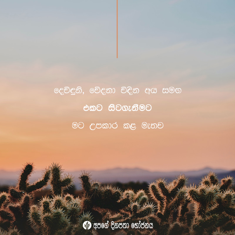 Share ODB 2020-08-06