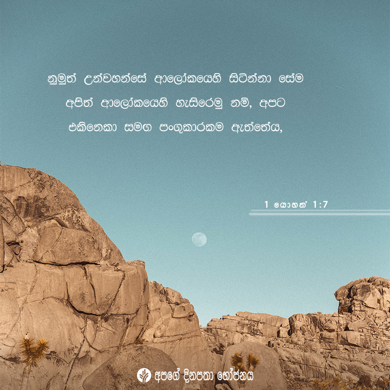 Share ODB 2020-08-09