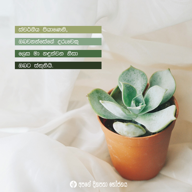 Share ODB 2020-08-11