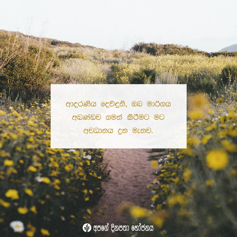 Share ODB 2020-08-13