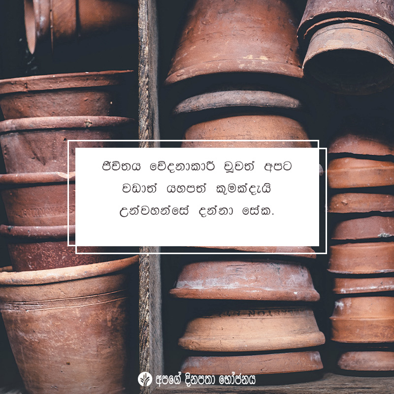 Share ODB 2020-08-17 Share ODB 2020-08-17