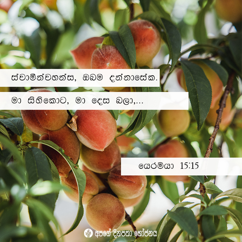 Share ODB 2021-01-05