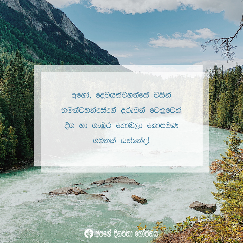 Share ODB 2021-01-06