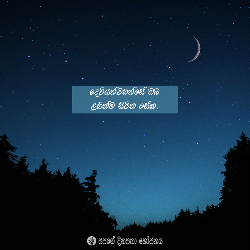 Share ODB 2021-01-07