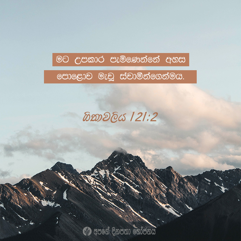 Share ODB 2021-01-11