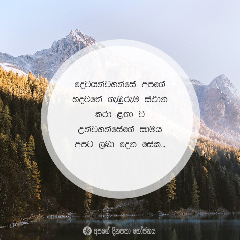 Share ODB 2021-01-23