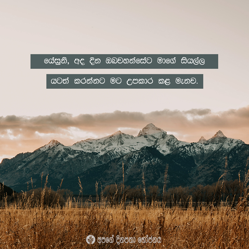 Share ODB 2021-01-24