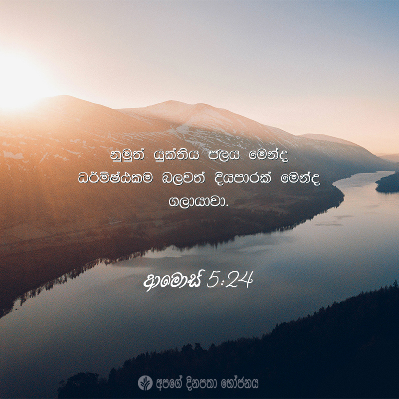 Share ODB 2021-01-28