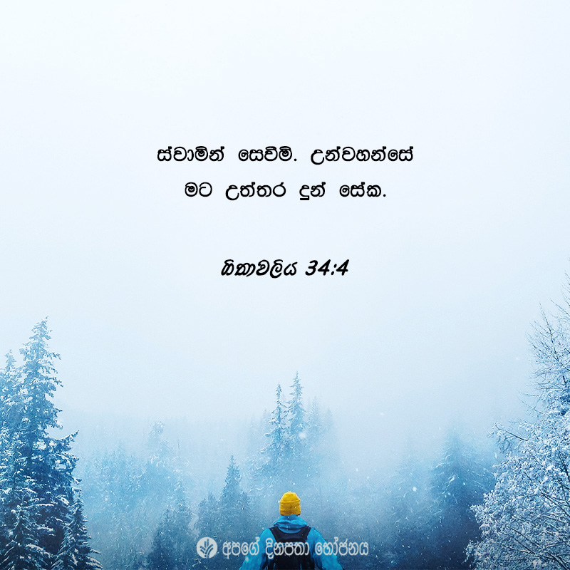 Share ODB 2021-02-14