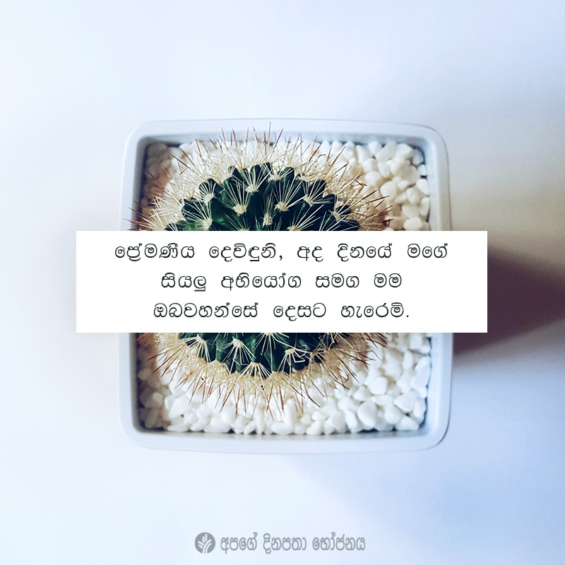 Share ODB 2021-02-17