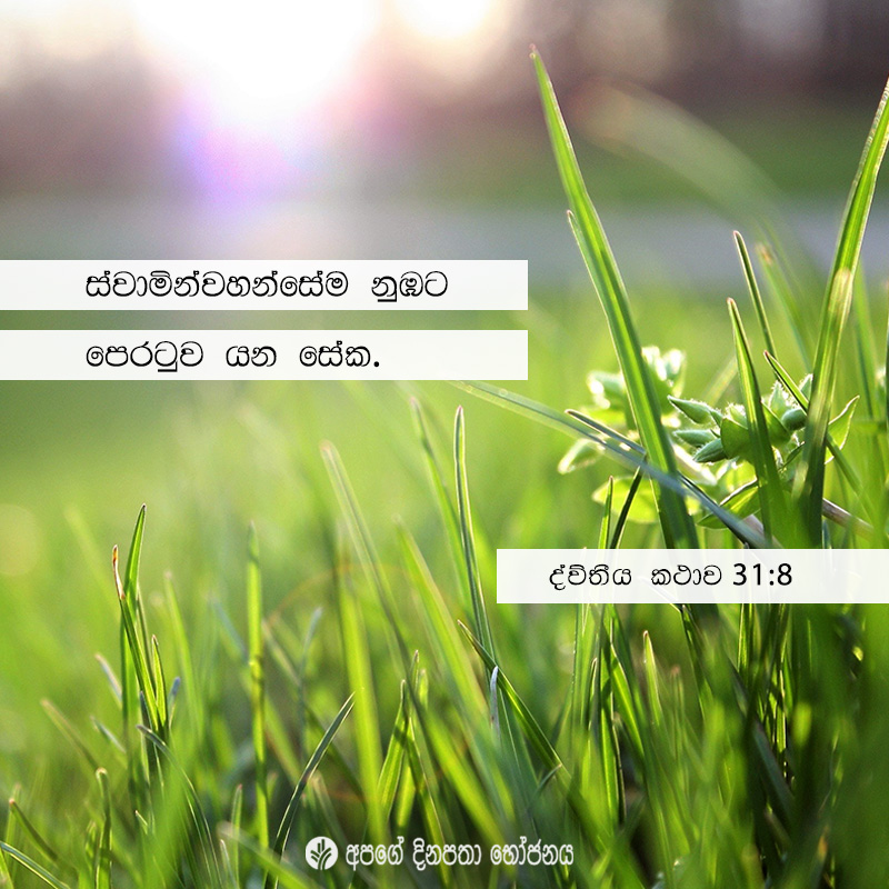 Share ODB 2021-03-03