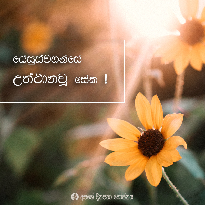 Share ODB 2021-04-04