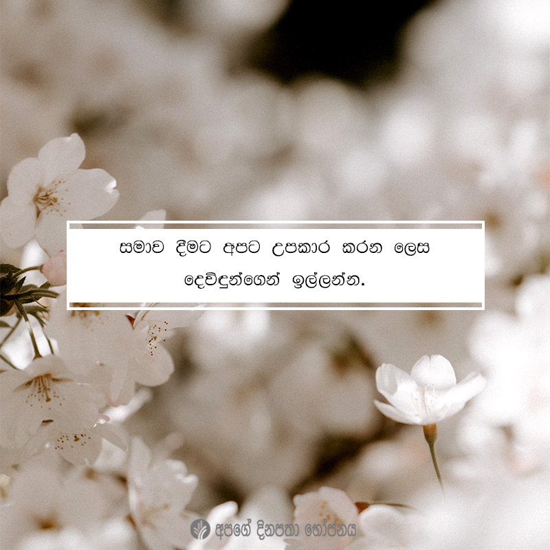 Share ODB 2021-04-16