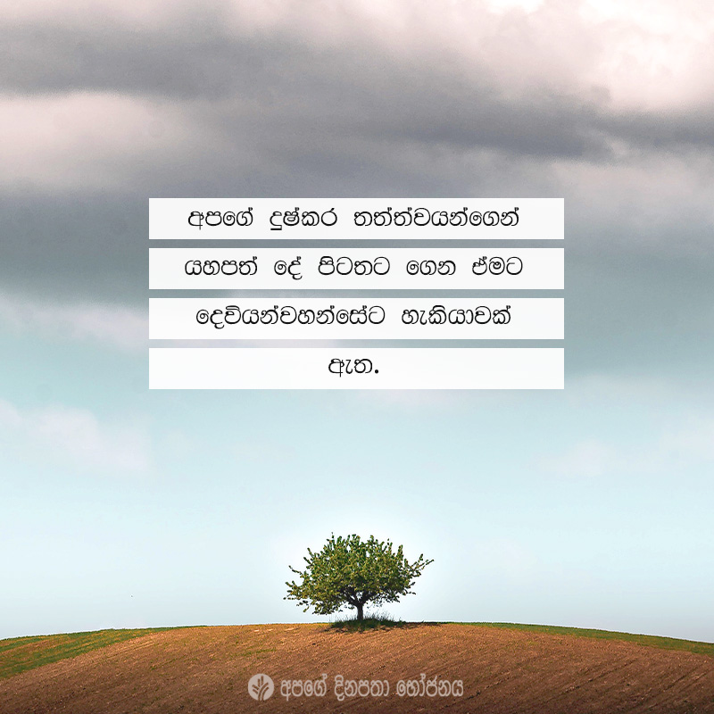 Share ODB 2021-04-18