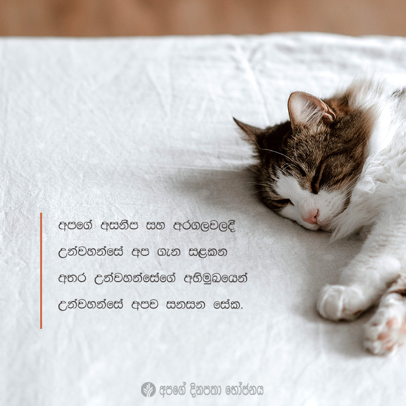 Share ODB 2021-04-22