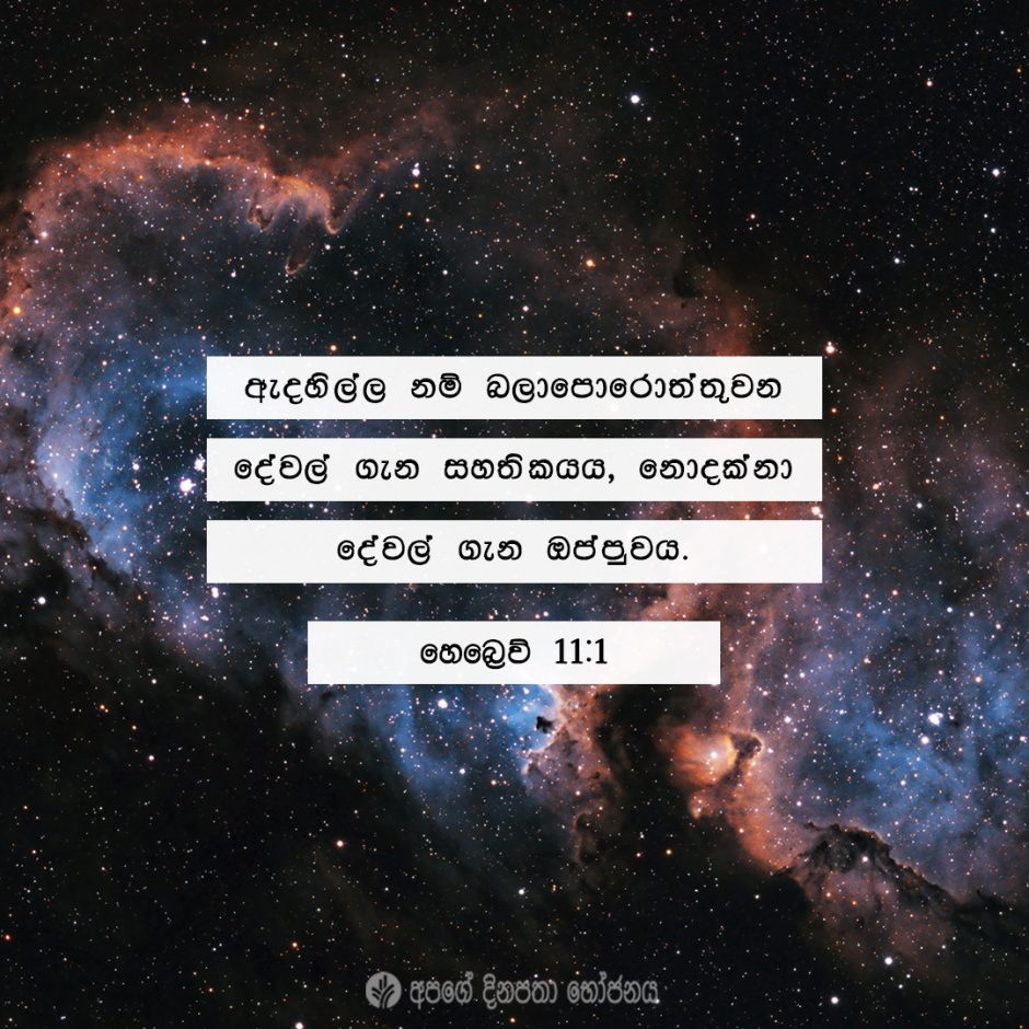 Share ODB 2021-05-02