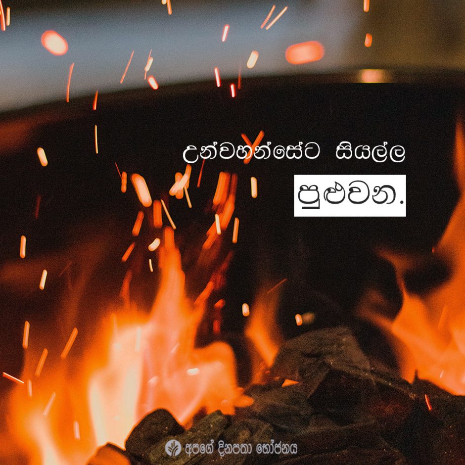 Share ODB 2021-05-04