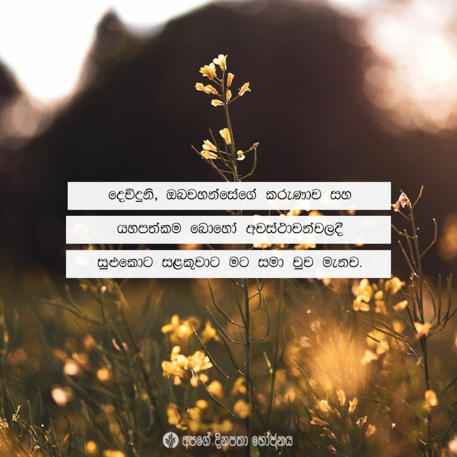 Share ODB 2021-05-07