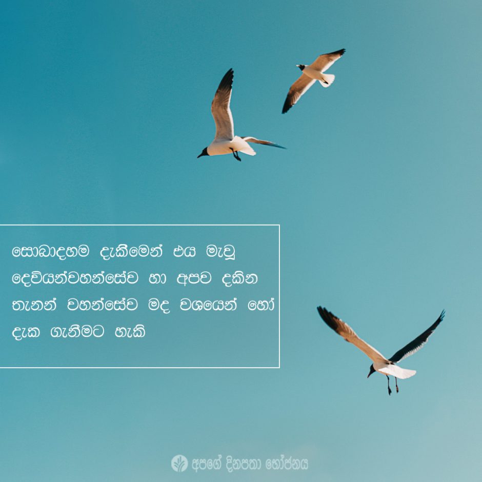 Share ODB 2021-05-09