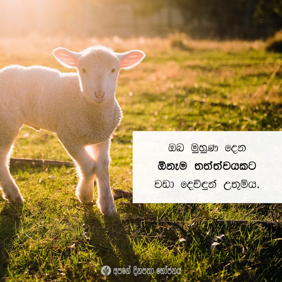 Share ODB 2021-05-30 Share ODB 2021-05-30