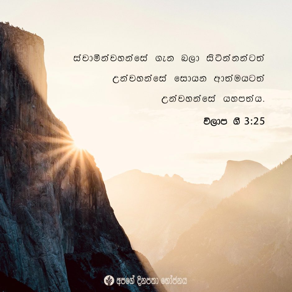 Share ODB 2021-06-03