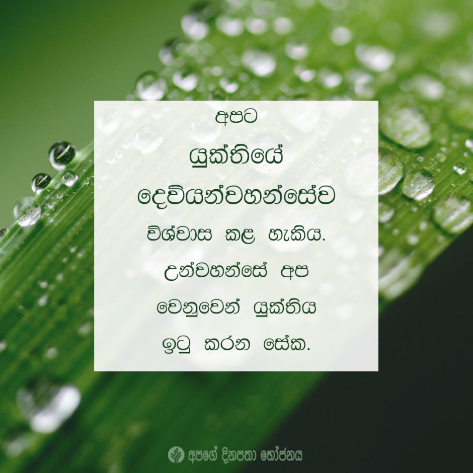 Share ODB 2021-06-04