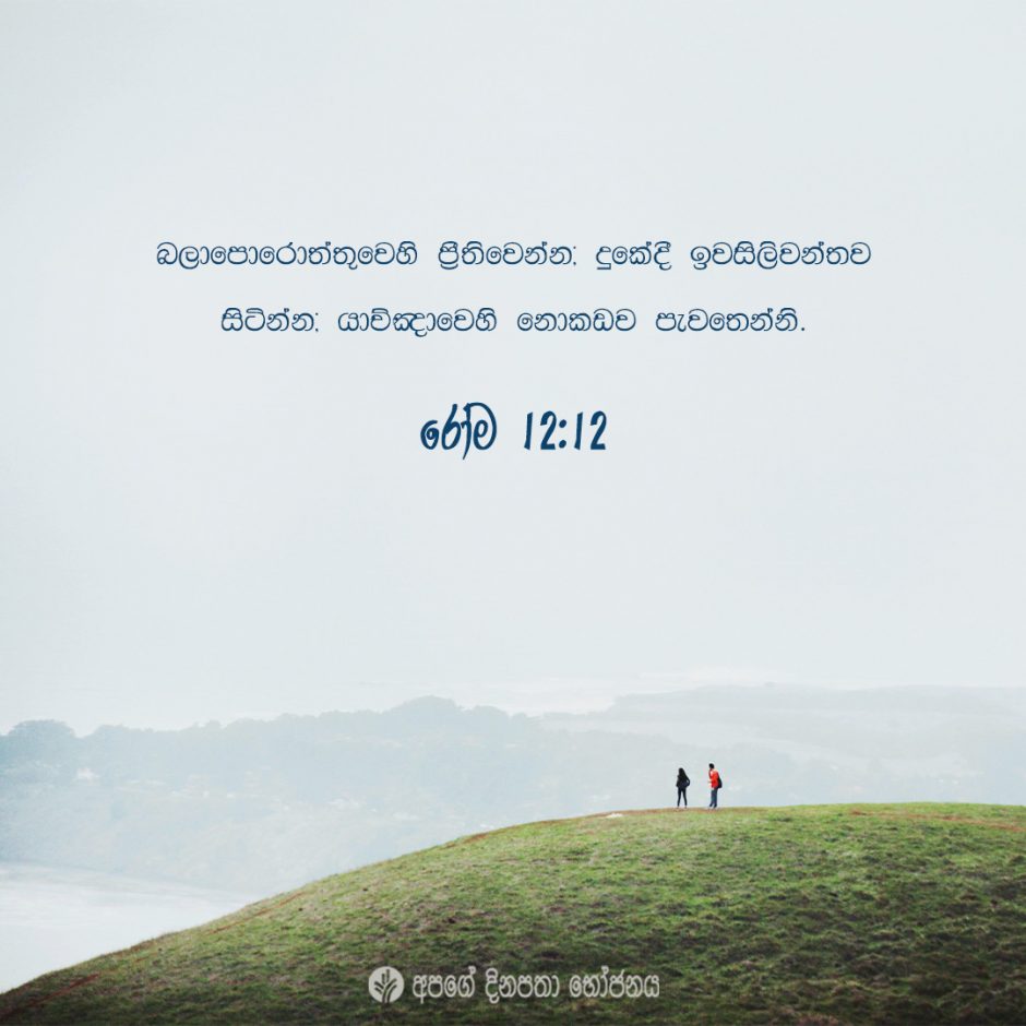 Share ODB 2021-06-05