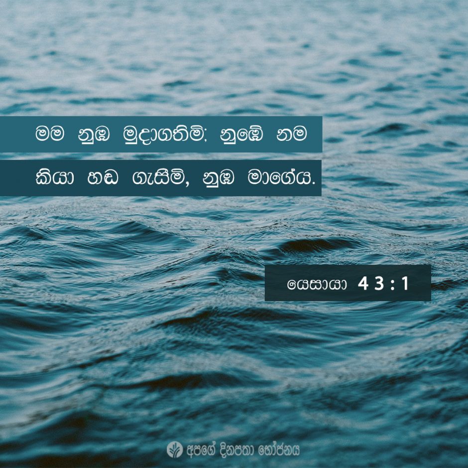 Share ODB 2021-06-12