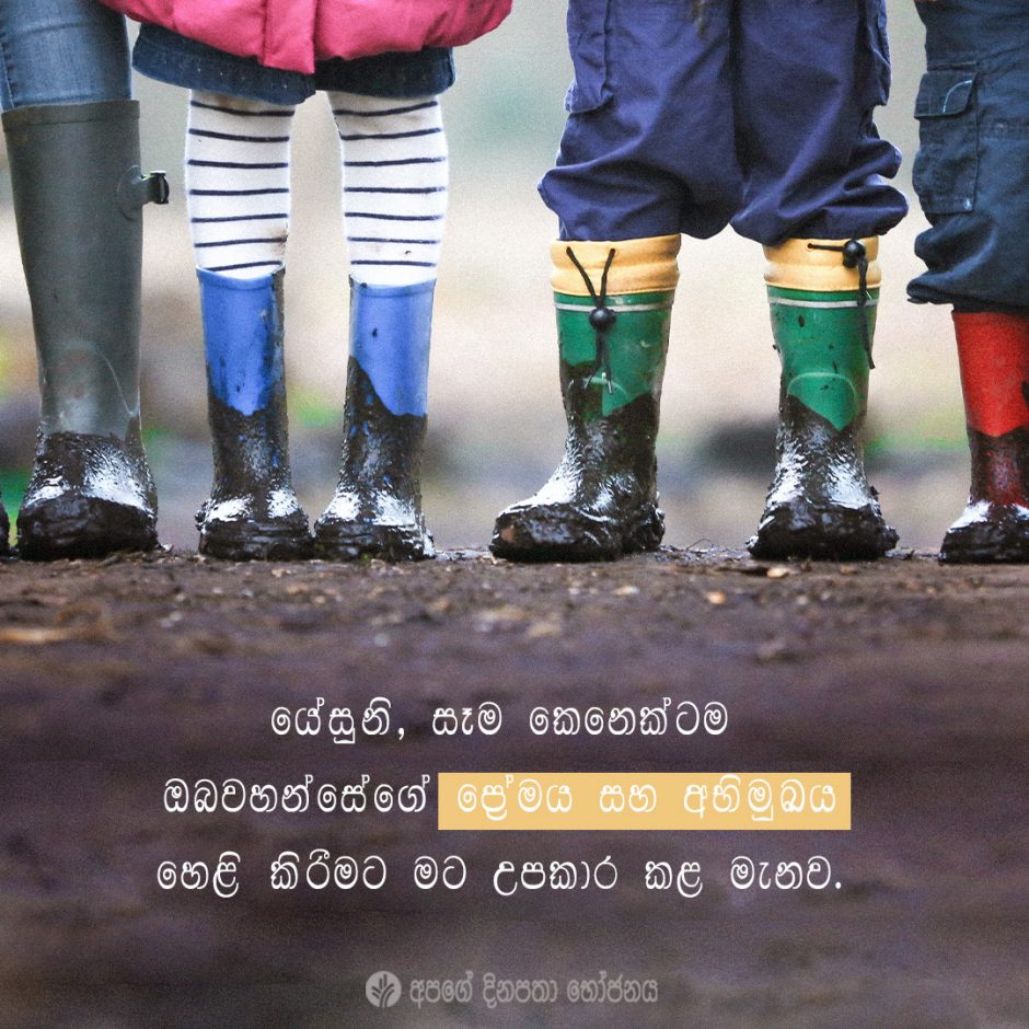 Share ODB 2021-06-13