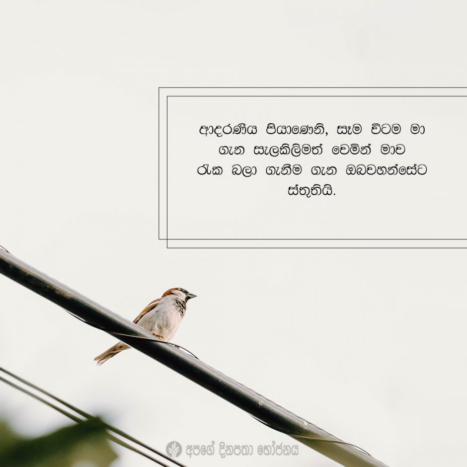 Share ODB 2021-06-15