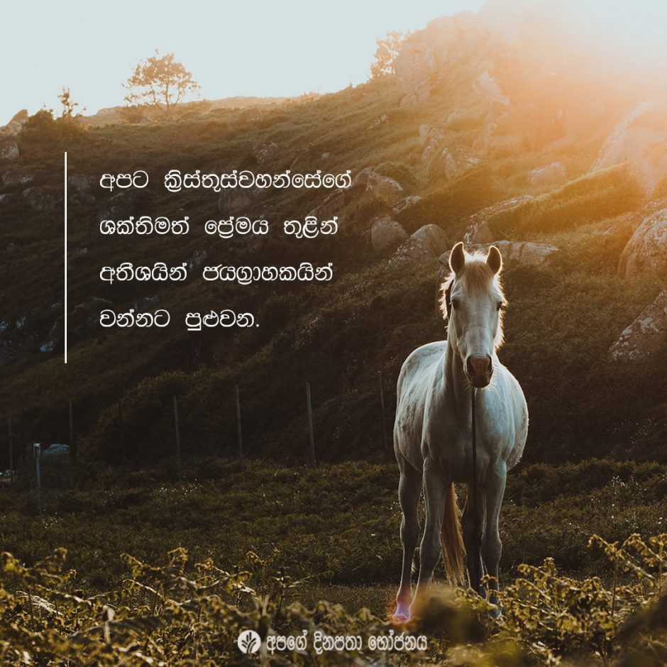 Share ODB 2021-06-21