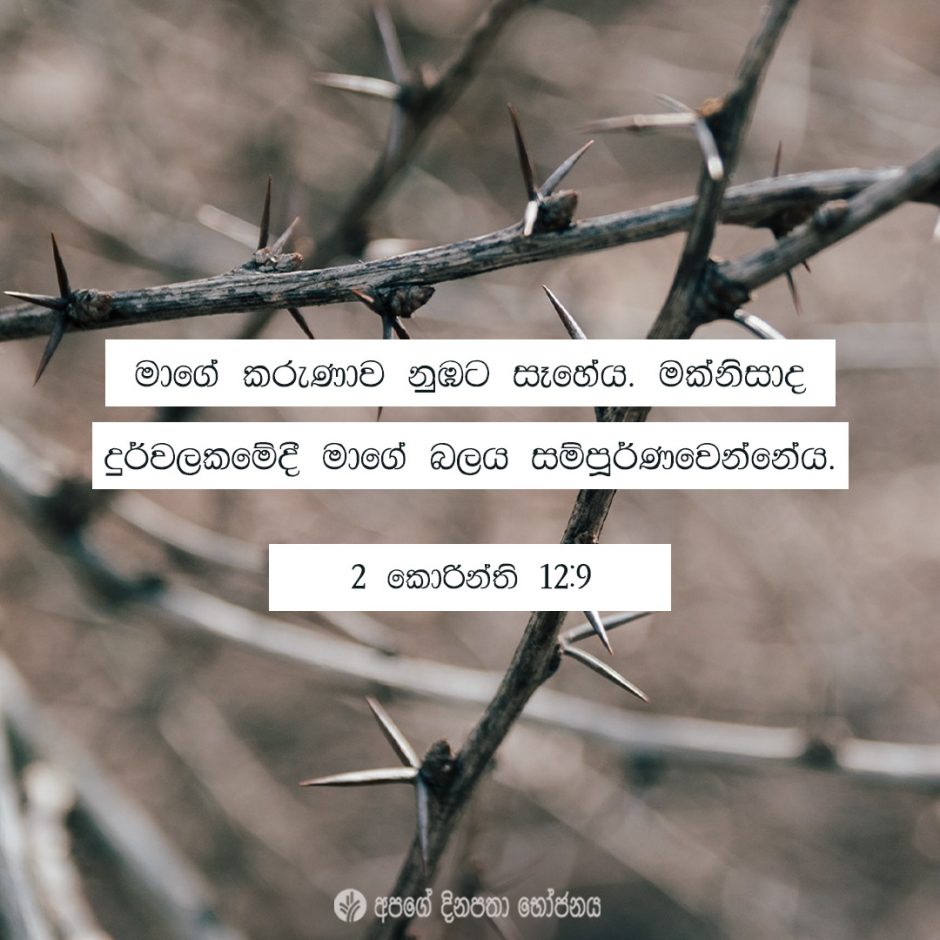 Share ODB 2021-06-24