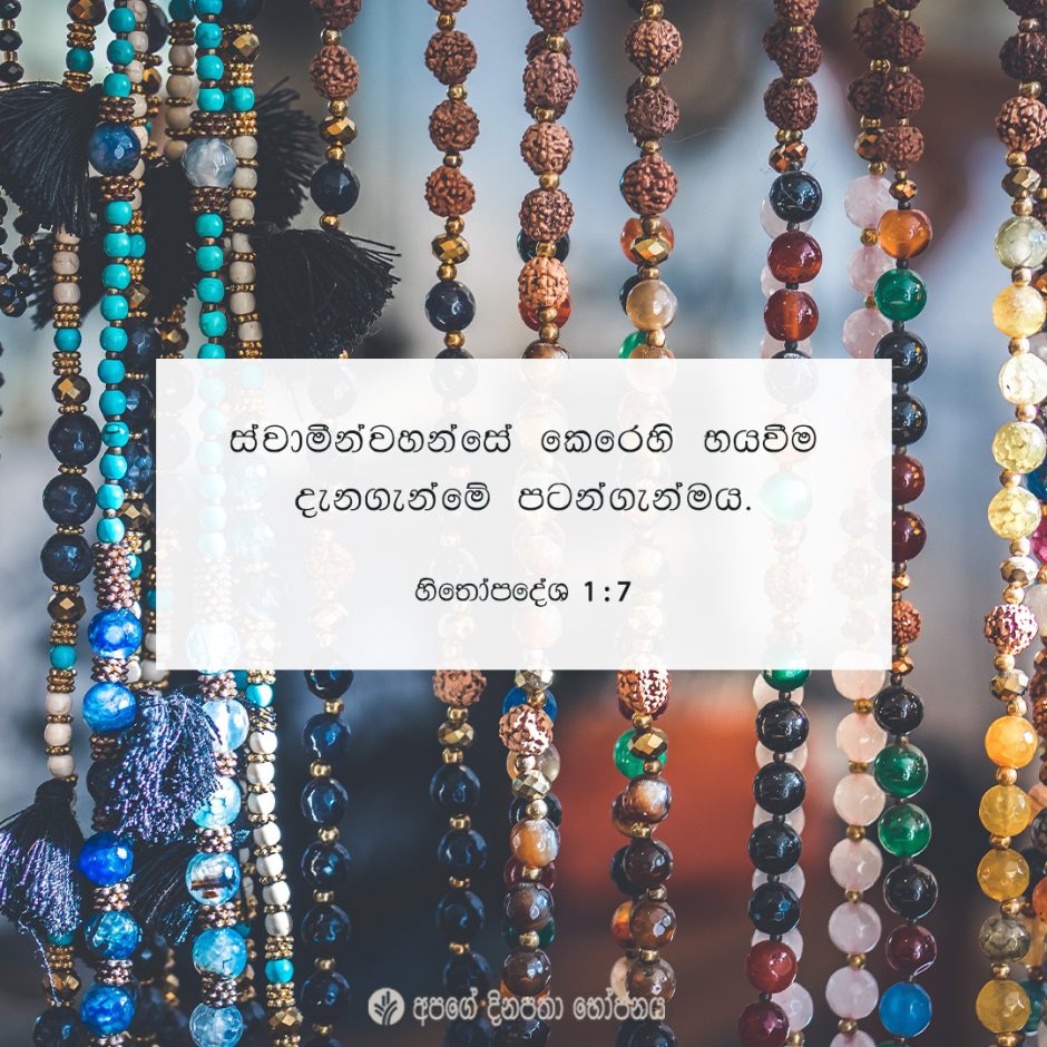 Share ODB 2021-07-07