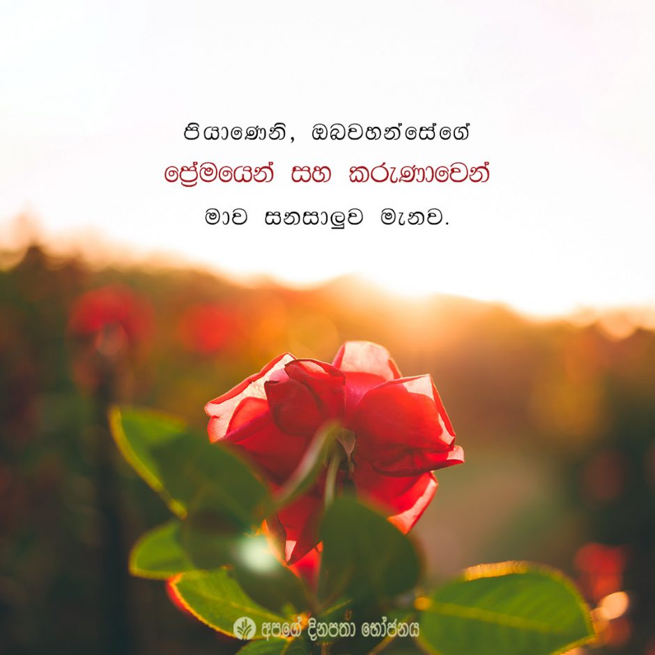 Share ODB 2021-07-11